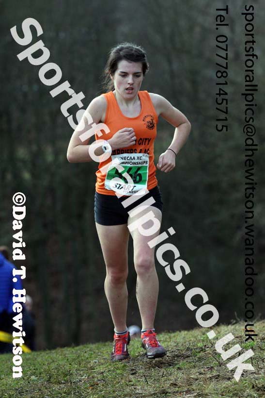 Womens under-17s and 20s North Eastern Cross Country, Aykley Heads, Durham. Photo: David T. Hewitson/Sports for All Pics